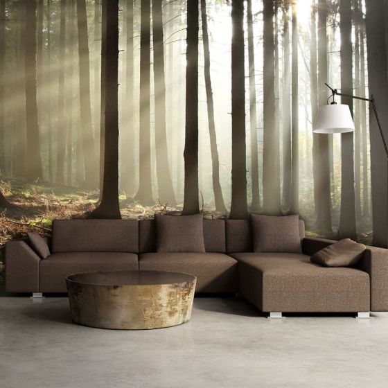 Nåleskov fotostat - flot foto tapet til væggen