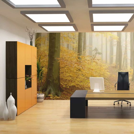 skov - efterår fotostat - flot foto tapet til væggen