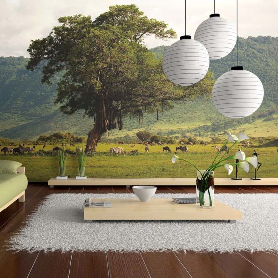 In a crater of Ngoro ngoro fotostat - flot foto tapet til væggen