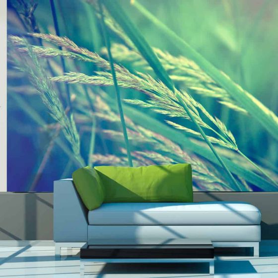 Kornmark fotostat - flot foto tapet til væggen