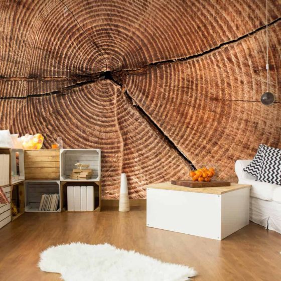 Træstamme tværsnit fotostat - flot foto tapet til væggen