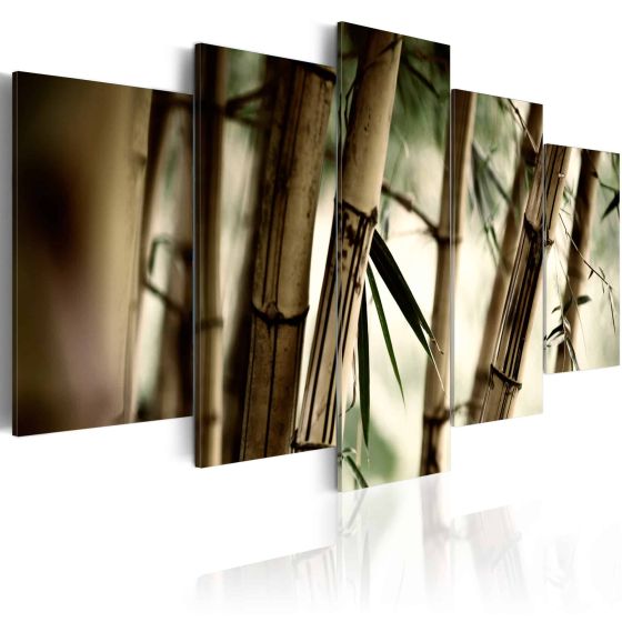 Asian bamboo forest canvas print - flot billede på lærred