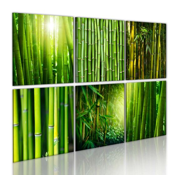 Bamboo has many faces canvas print - flot billede på lærred