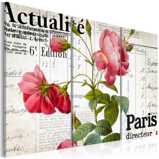 Paris - Lyserøde roser canvas print - flot billede på lærred