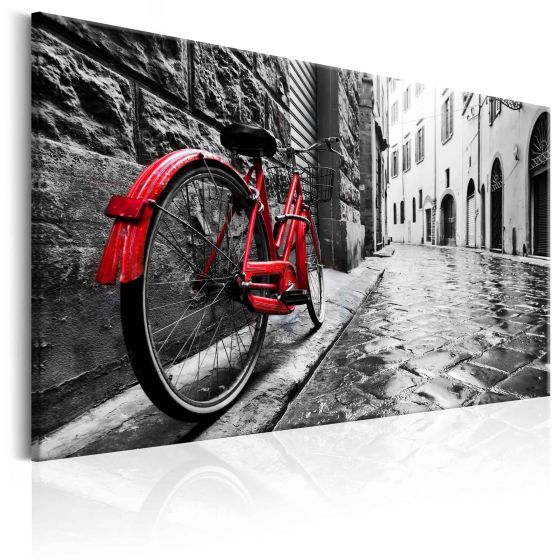 Vintage Red Bike canvas print - flot billede på lærred