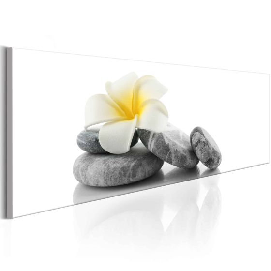 White Lotus canvas print - flot billede på lærred