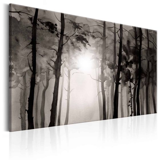 Foggy Forest canvas print - flot billede på lærred