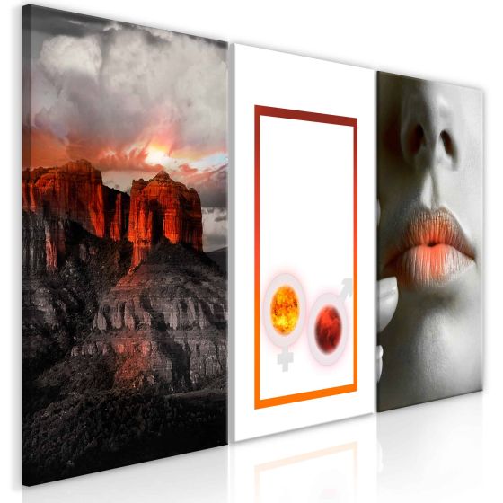 Passion (3 dele) canvas print - flot billede på lærred