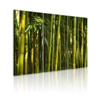Green bamboo canvas print - flot billede på lærred