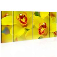 Orchids - intensity of yellow color canvas print - flot billede på lærred
