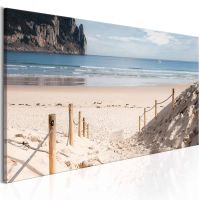 Beach path canvas print - flot billede på lærred