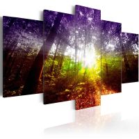 Rainbow Forest canvas print - flot billede på lærred