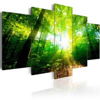 Wonderful Morning canvas print - flot billede på lærred