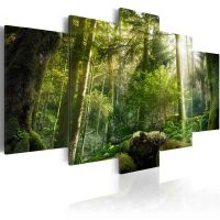 The Beauty of the Forest canvas print - flot billede på lærred
