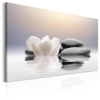 Garden of Calm canvas print - flot billede på lærred
