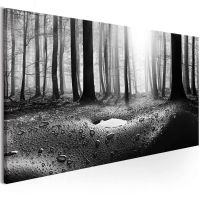 Forest after Rain (1 del)  canvas print - flot billede på lærred