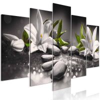 Lilies and Stones (5 dele) Wide Grey canvas print - flot billede på lærred