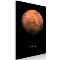 Mars (1 del)  canvas print - flot billede på lærred