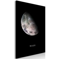 Moon (1 del)  canvas print - flot billede på lærred