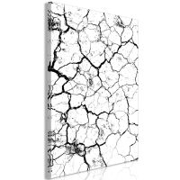 Cracked Earth (1 del)  canvas print - flot billede på lærred