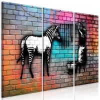 Washing Zebra - Colourful Brick (3 dele) canvas print - flot billede på lærred