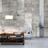 Gray pigeon tapet - flot tapet til væggen