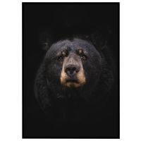 Bjørn billede - Flot print til boligen