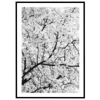 Blomstrende trækrone billede - Flot print til boligen