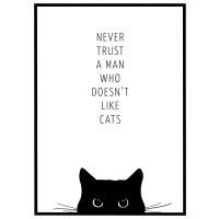 Never trust a man who doesn't like cats billede - Flot print til boligen