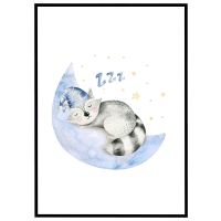 Drømmende vaskebjørn billede - Flot print til boligen