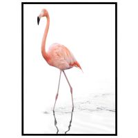 Flamingo i vandet billede - Flot print til boligen