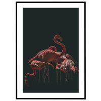 Flamingoer på sort baggrund billede - Flot print til boligen