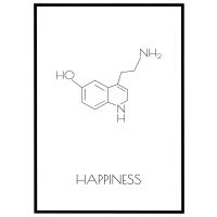 Happiness billede - Flot print til boligen