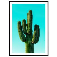 Kaktus billede - Flot print til boligen