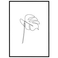 Monstera stregtegning #2 billede - Flot print til boligen