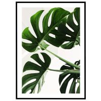 Monsterablade #1 billede - Flot print til boligen