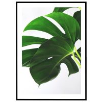 Monsterablade #2 billede - Flot print til boligen