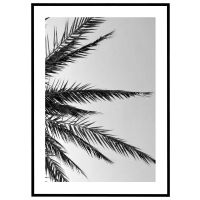 Palmeblade - sort/hvid billede - Flot print til boligen