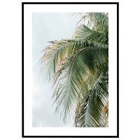 Palmeblade billede - Flot print til boligen