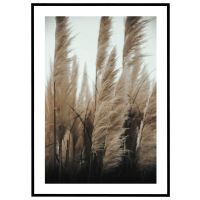 Pampasgræs i det fri billede - Flot print til boligen