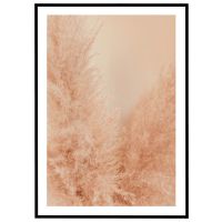 Pampasgræs - nærbillede billede - Flot print til boligen