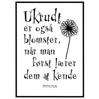 Ukrudt er også blomster billede - Flot print til boligen