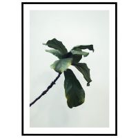 Violinfigen billede - Flot print til boligen