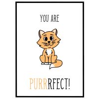 You are purrrfect billede - Flot print til boligen