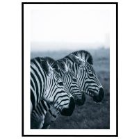 Zebraer billede - Flot print til boligen
