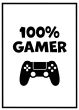 100% gamer billede - Flot print til boligen