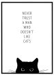 Never trust a man who doesn't like cats billede - Flot print til boligen