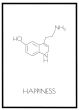 Happiness billede - Flot print til boligen
