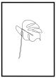 Monstera stregtegning #2 billede - Flot print til boligen