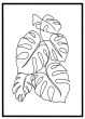 Monstera stregtegning #1 billede - Flot print til boligen